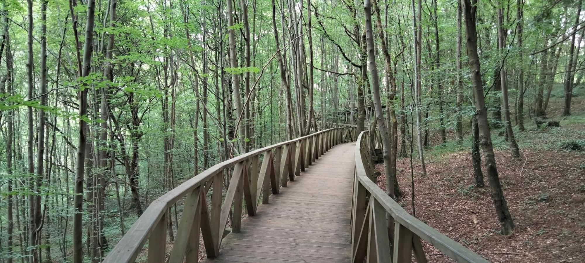 El Mirador De La Hayuela, A 7 Min De Comillas Dış mekan fotoğraf
